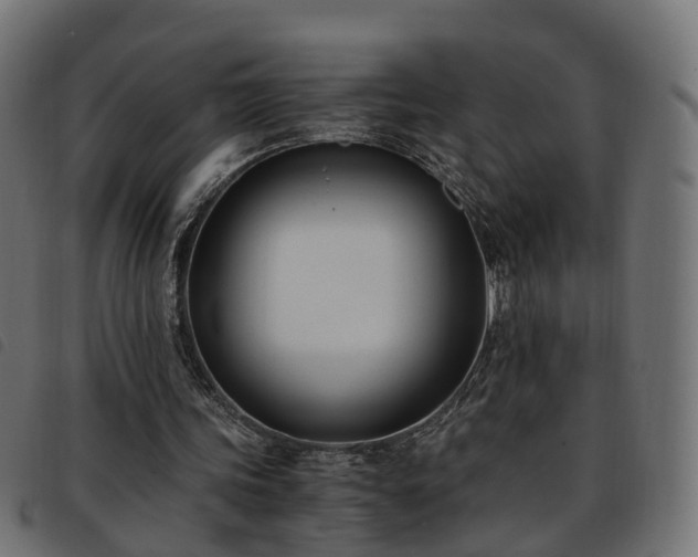 X0000093590339200710151208