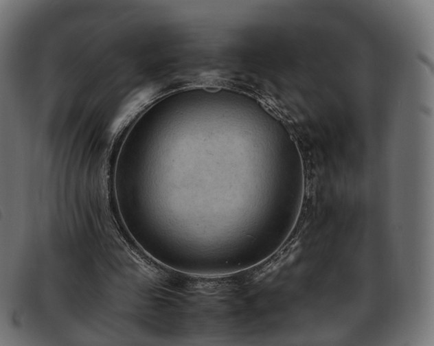 X0000093590341200710151208