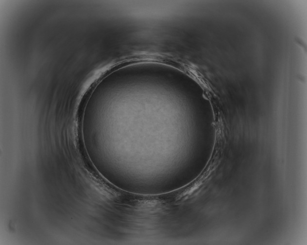 X0000093590342200710151208