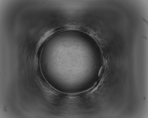 X0000093590343200710151208