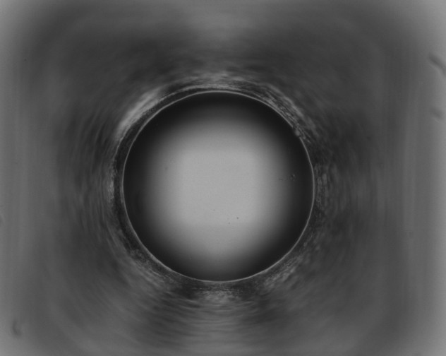 X0000093590344200710151208