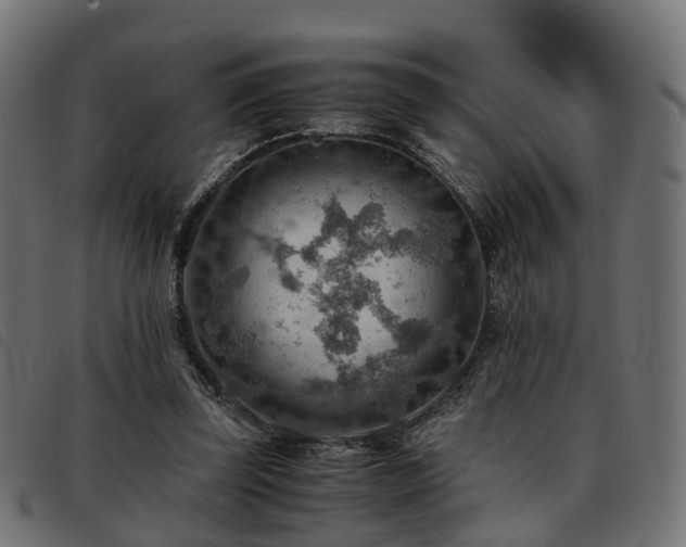 X0000093590347200710151208