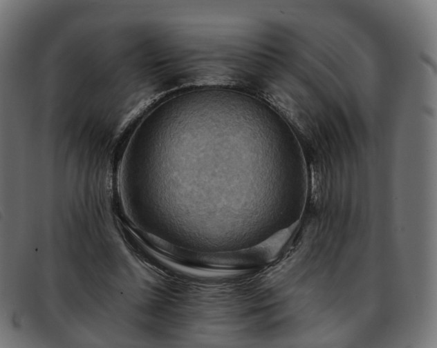 X0000093590348200710151208