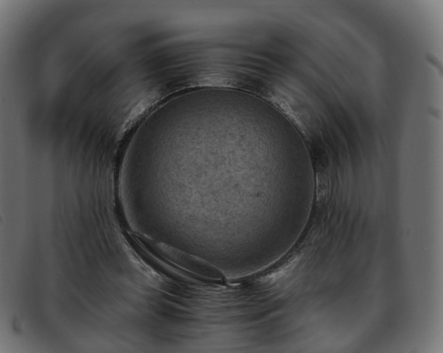 X0000093590349200710151208