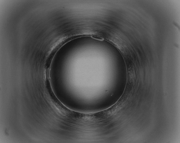 X0000093590350200710151208