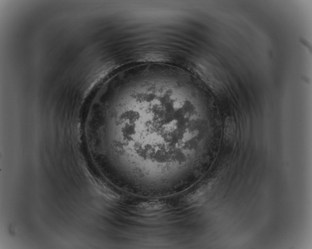 X0000093590351200710151208