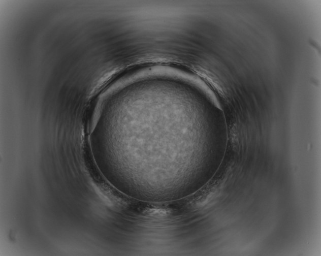 X0000093590352200710151208