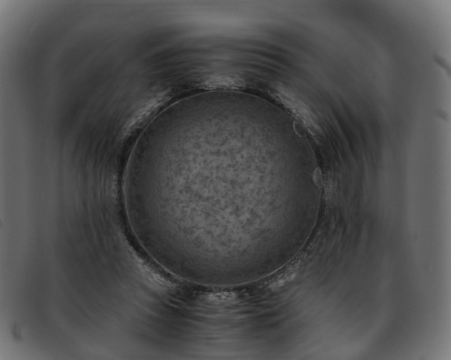 X0000093590353200710151208