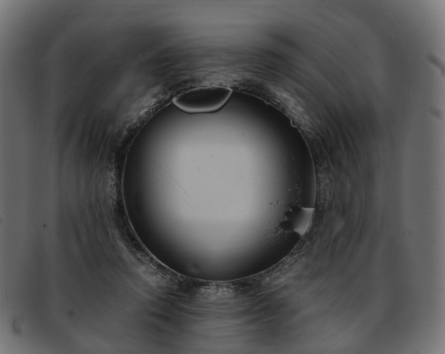 X0000093590354200710151208