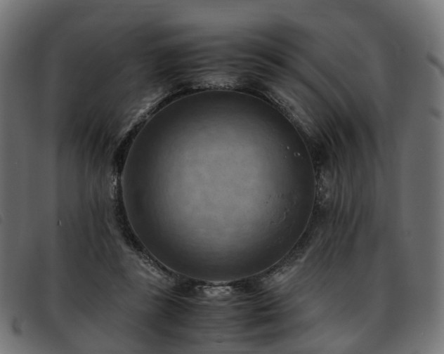 X0000093590355200710151208