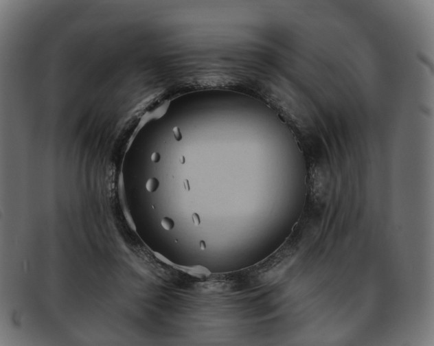 X0000093590356200710151208