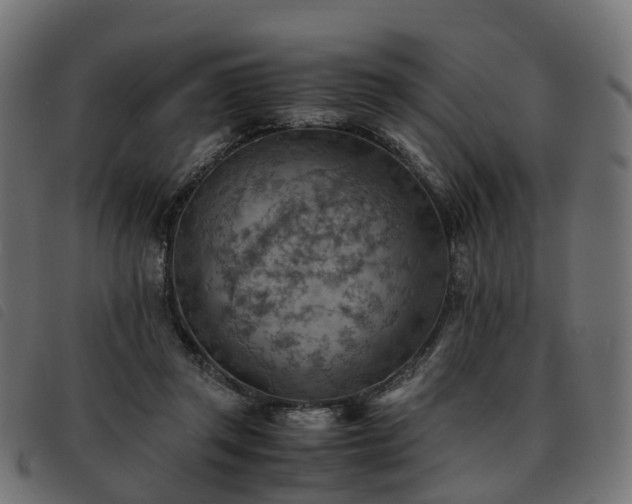 X0000093590357200710151209