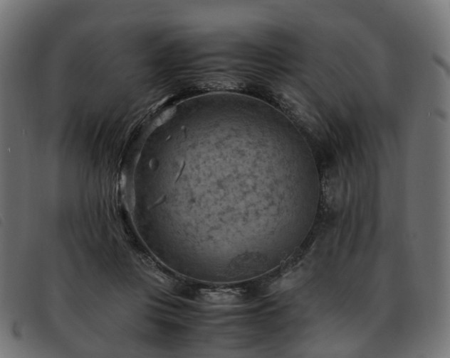 X0000093590359200710151209