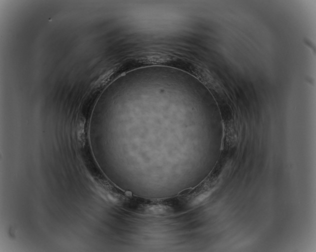 X0000093590360200710151209