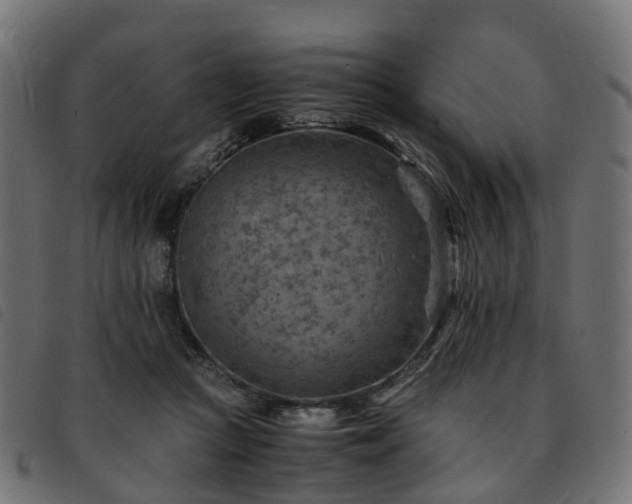 X0000093590361200710151209