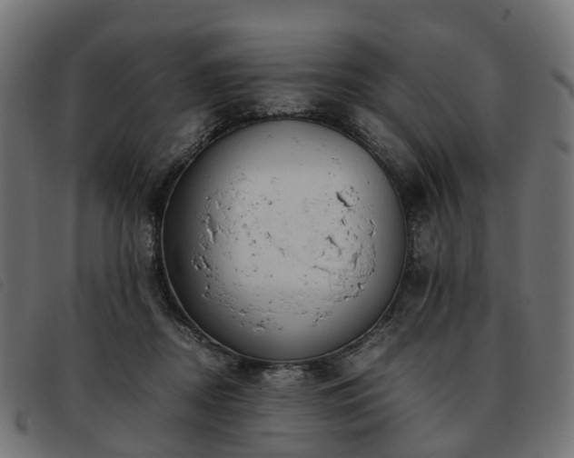 X0000093590362200710151209