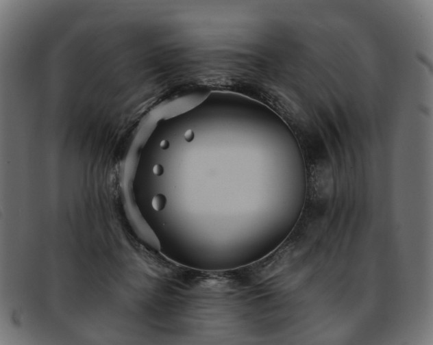 X0000093590364200710151209