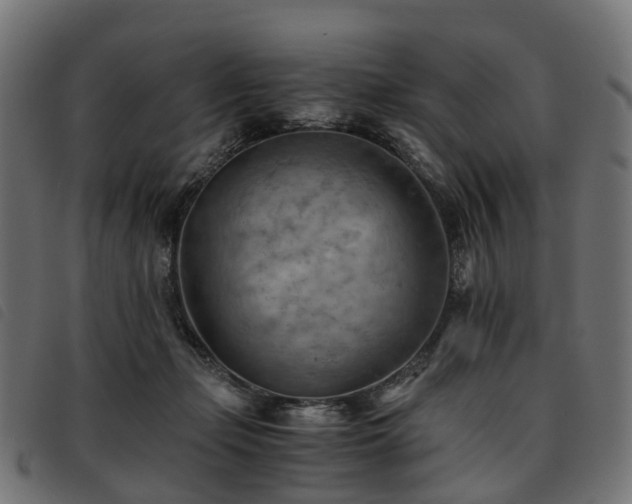 X0000093590365200710151209