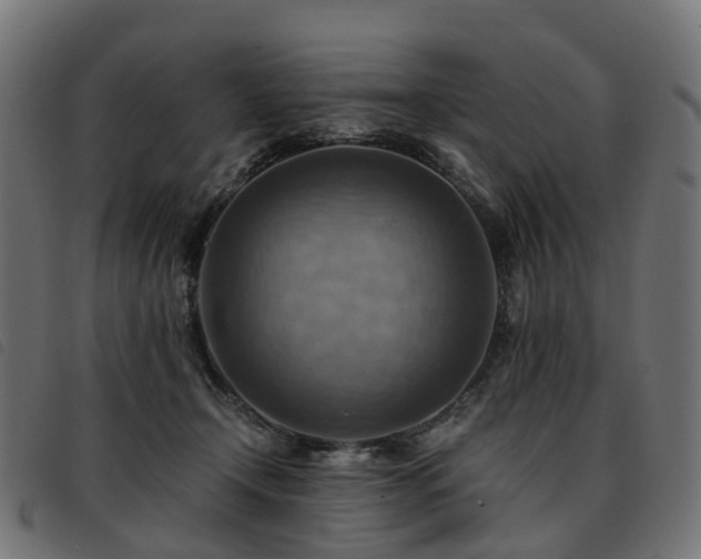 X0000093590366200710151209