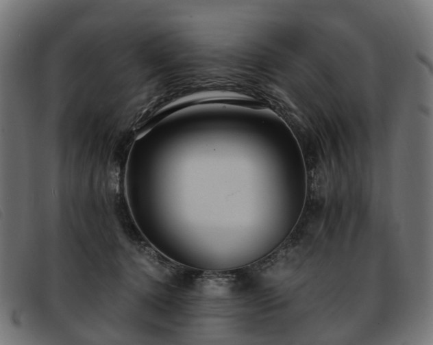 X0000093590368200710151209