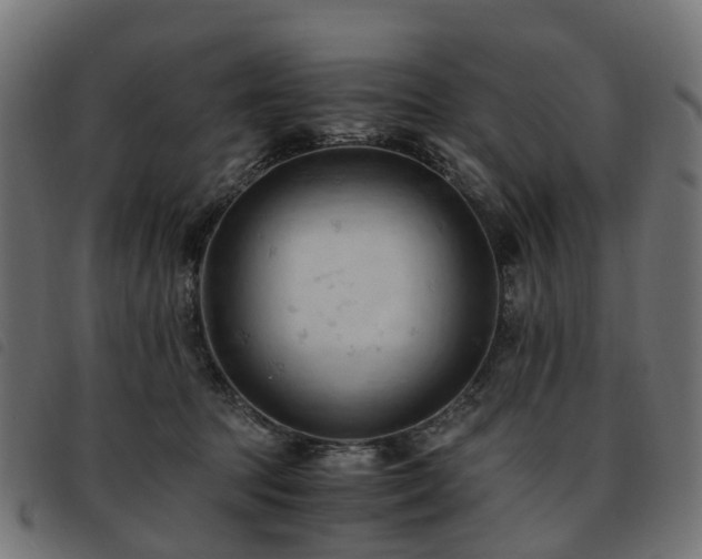 X0000093590369200710151209