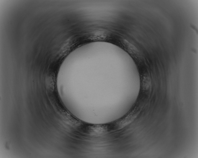 X0000093590370200710151209