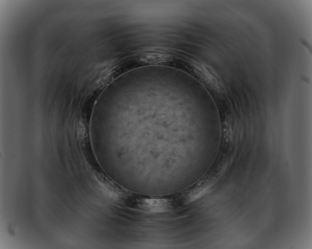 X0000093590371200710151209