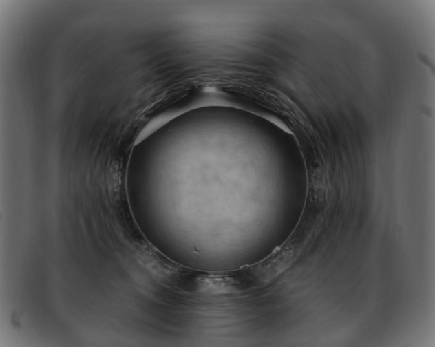 X0000093590372200710151209