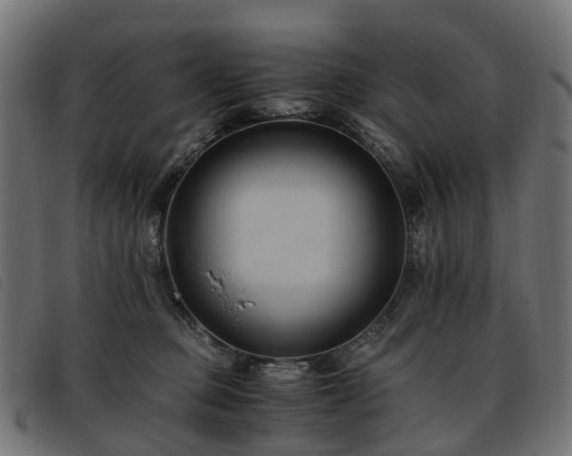 X0000093590373200710151209