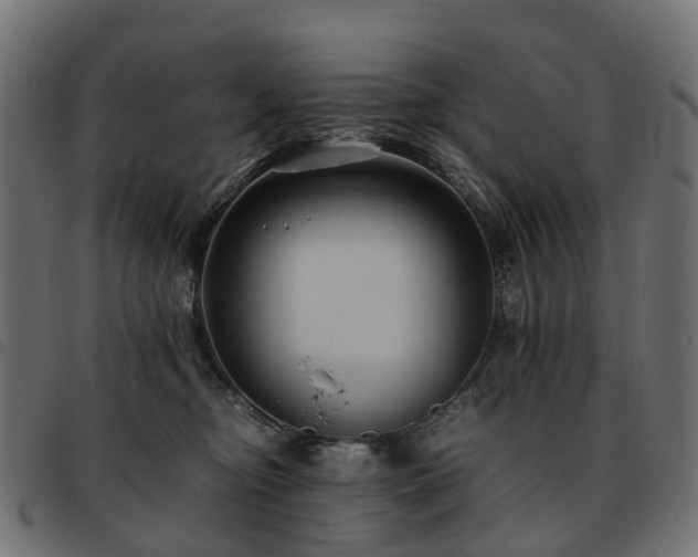 X0000093590374200710151209