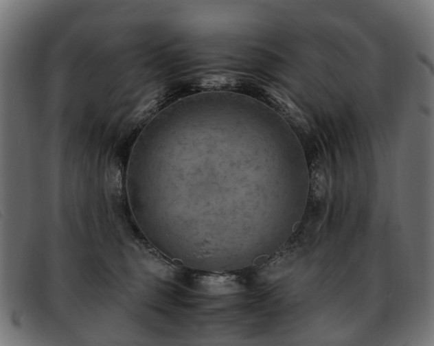 X0000093590375200710151209