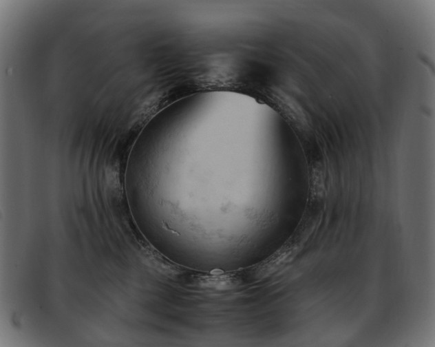 X0000093590377200710151209