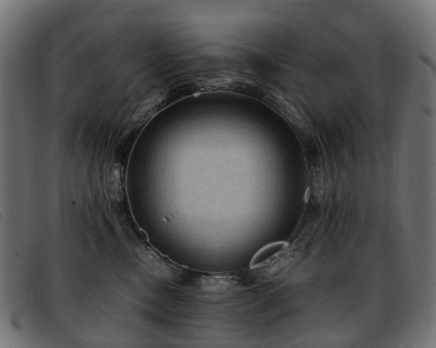 X0000093590378200710151209