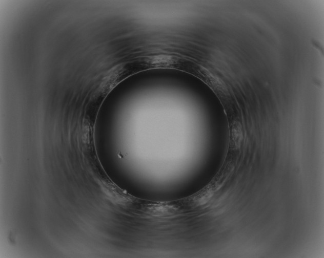 X0000093590379200710151209
