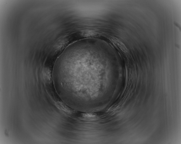 X0000093590380200710151209