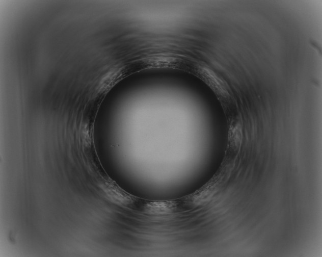 X0000093590381200710151209