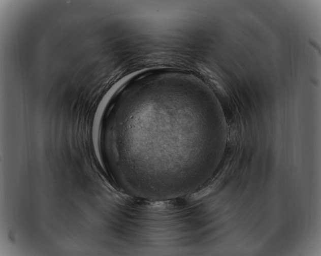 X0000093590382200710151209