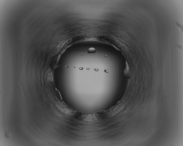 X0000093590384200710151209
