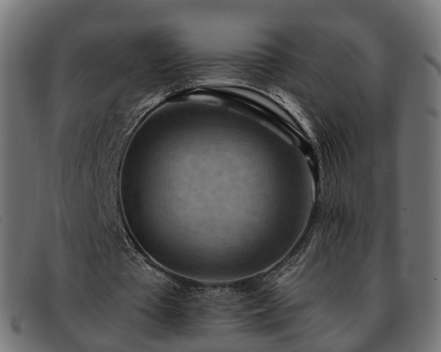 X0000093590385200710151208
