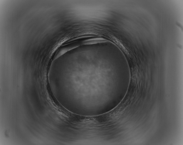 X0000093590386200710151208