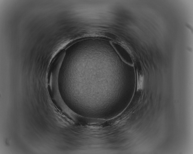 X0000093590387200710151208