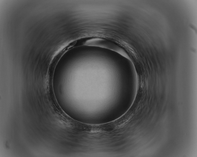 X0000093590388200710151208