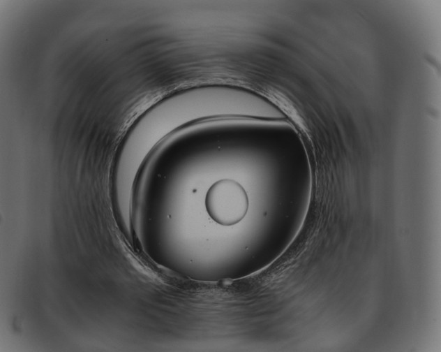 X0000093590389200710151208