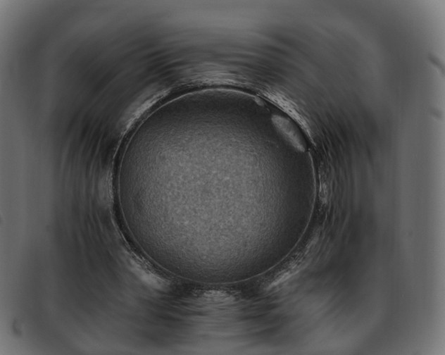 X0000093590390200710151208