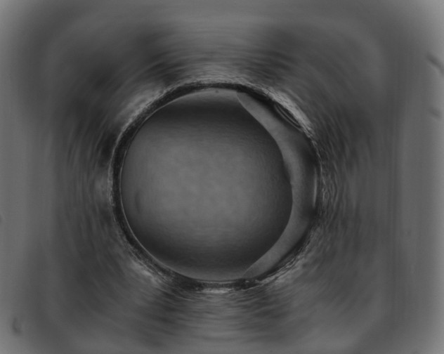 X0000093590391200710151208