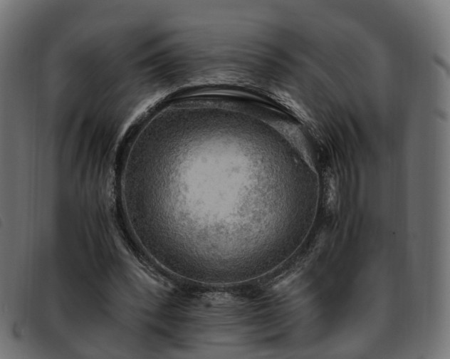 X0000093590392200710151208