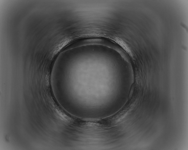 X0000093590393200710151208