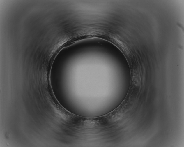 X0000093590394200710151208
