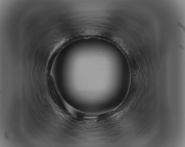 X0000093590395200710151208