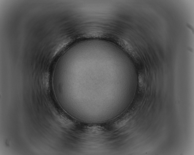 X0000093590396200710151208